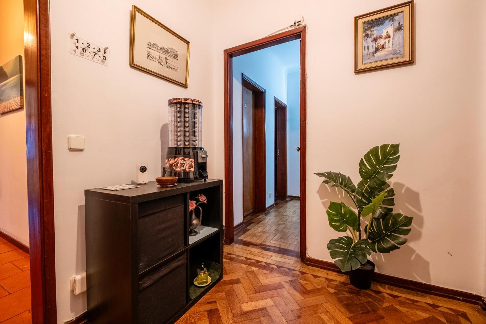 Celas Dream Studio Коїмбра Екстер'єр фото